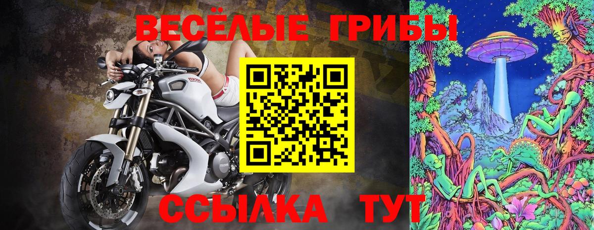 Коркино  как найти закладки  Псилоцибиновые грибы прущие грибы  Вход с VPN  Галлюциногенные грибы мухоморы 
