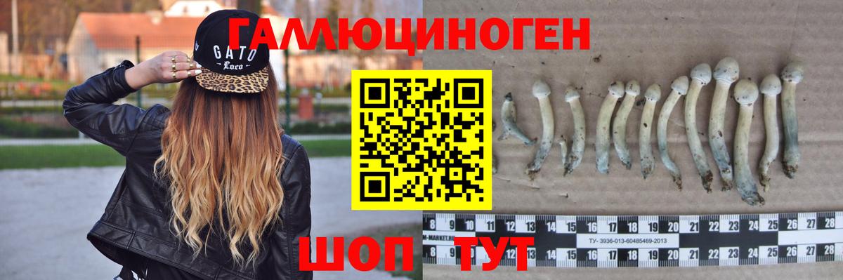 Псилоцибиновые грибы Magic Shrooms Коркино